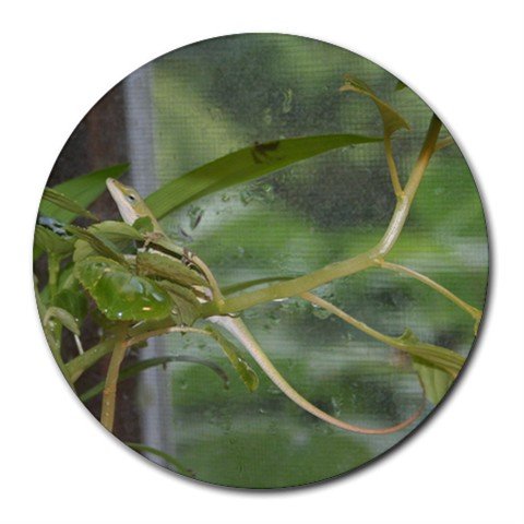 Mousepad / Placemat FREE SHIPPING