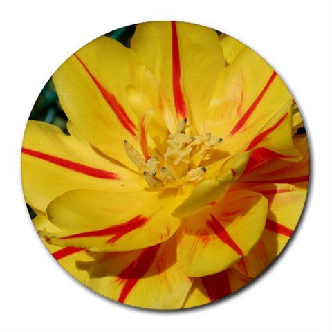 Mousepad / Placemat FREE SHIPPING