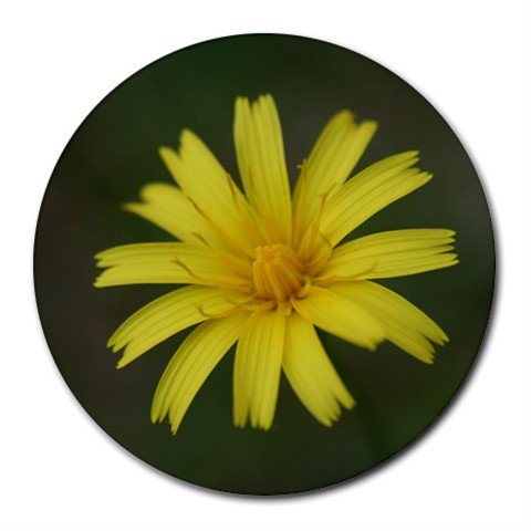 Mousepad / Placemat FREE SHIPPING