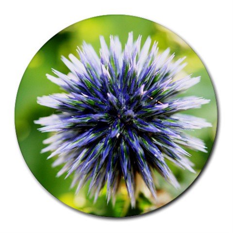 Mousepad / Placemat FREE SHIPPING