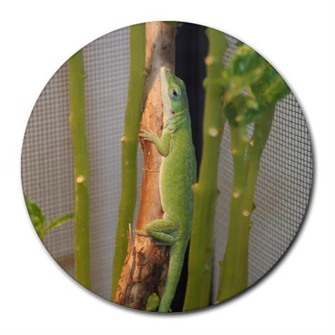 Mousepad / Placemat FREE SHIPPING