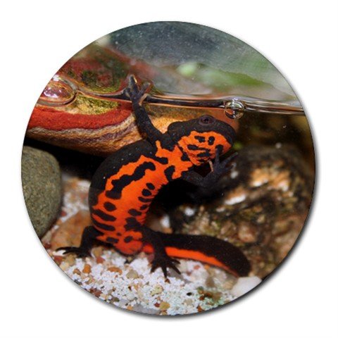 Mousepad / Placemat FREE SHIPPING