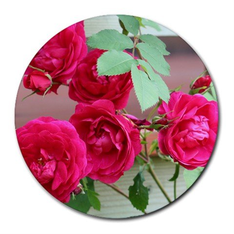 Mousepad / Placemat FREE SHIPPING
