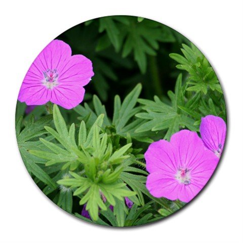Mousepad / Placemat FREE SHIPPING