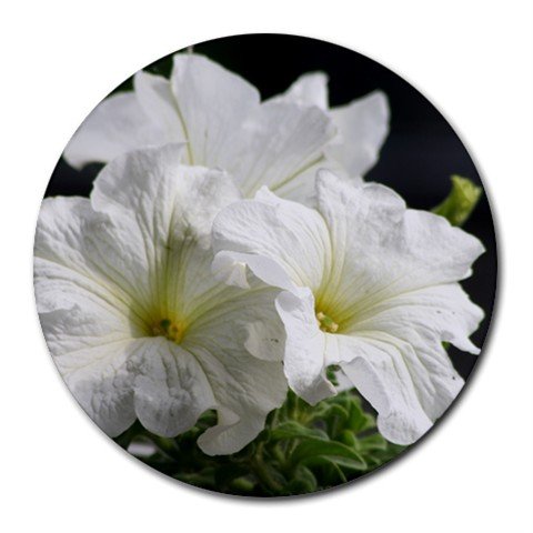 Mousepad / Placemat FREE SHIPPING