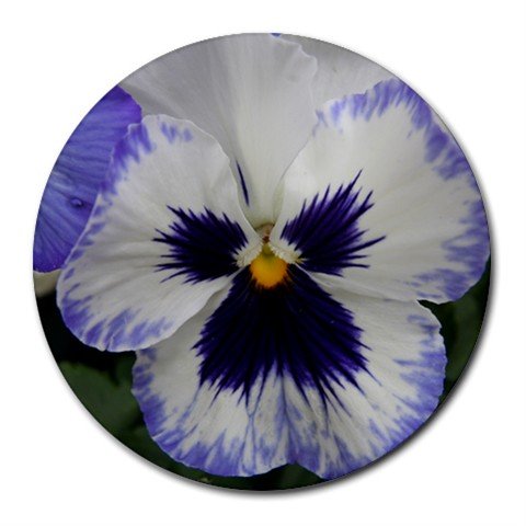 Mousepad / Placemat FREE SHIPPING