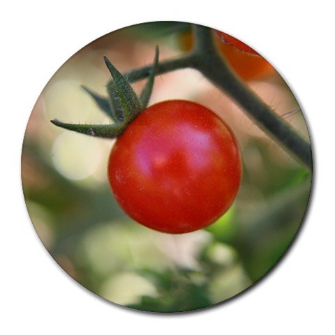 Mousepad / Placemat FREE SHIPPING