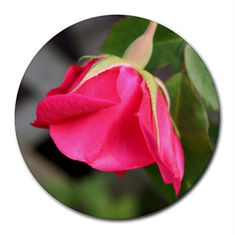 Mousepad / Placemat FREE SHIPPING