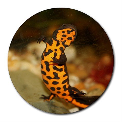 Mousepad / Placemat FREE SHIPPING