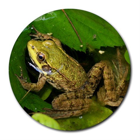 Mousepad / Placemat FREE SHIPPING