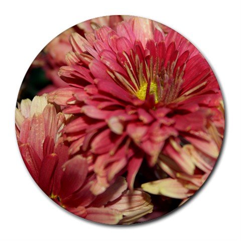 Mousepad / Placemat FREE SHIPPING
