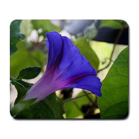 Morning Glory Mousepad NEW Free shipping