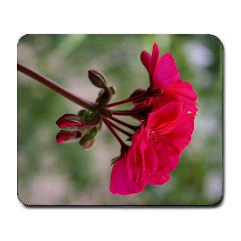 Pink Flower Summer Mousepad NEW Free shipping