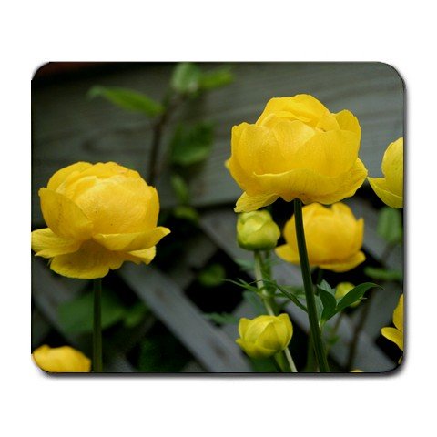 Giant ButterCups Flowers Summer Mousepad NEW Free shipping
