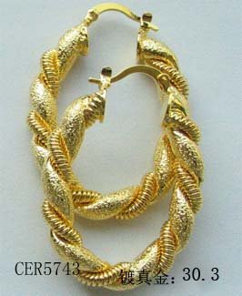 artificial Jewelry -Earring CER5743