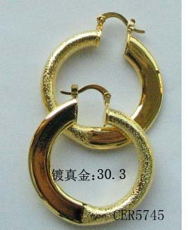 artificial Jewelry -Earring CER5745