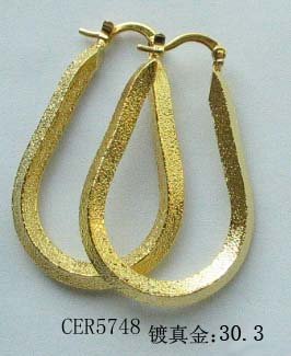 artificial Jewelry -Earring CER5748