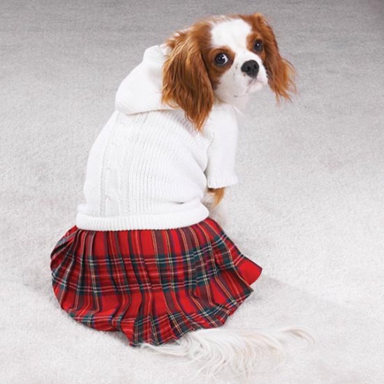 Casual Canine Back To School Jumper Size XS