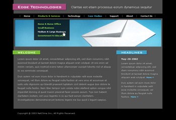 Business website + 200 MB storage