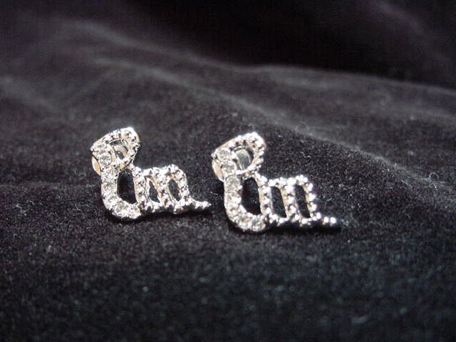 Roco Wear Logo Earrings