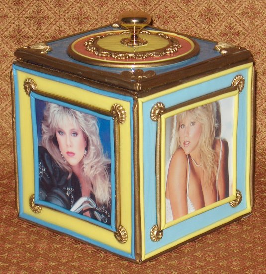 SAMANTHA FOX Custom-Designed Bookshelf CD Storage Box