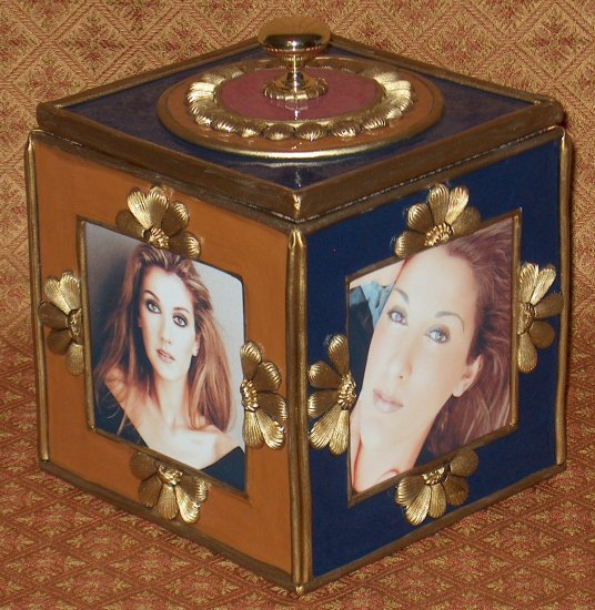 CELINE DION Custom-Designed Bookshelf CD Storage Box