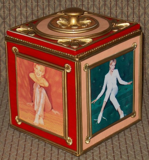 FAITH HILL Custom-Designed Bookshelf CD Storage Box #2
