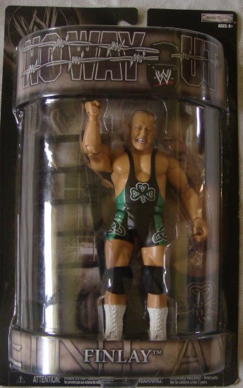 WWE No Way Out Finlay