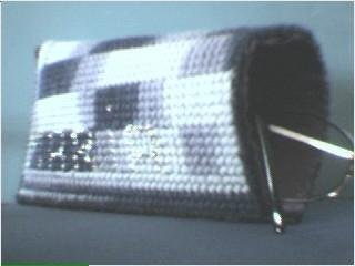 Eye Glass Case