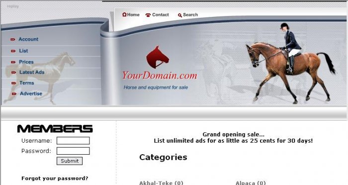 Horse Classifieds