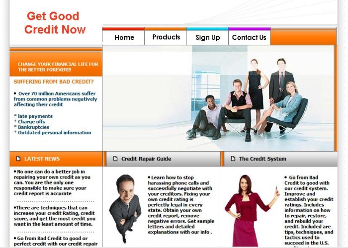 Credit Repair Website 2