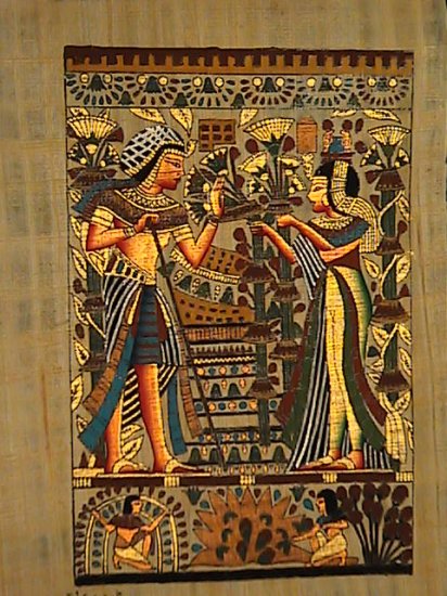 Tut Lotus Garden