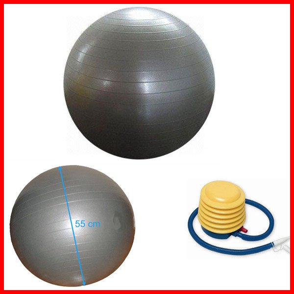 55cm Yoga Balance Ball Exercise Ball with Pump/Purple