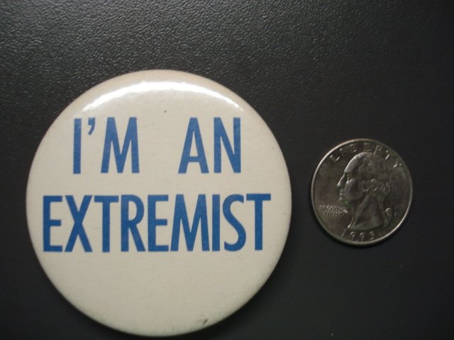I am an Extremist Pin vintage