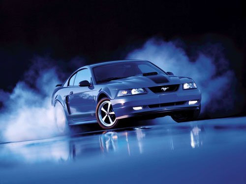 Ford Mustang Mach 1 Car Poster Print on 10 mil Archival Satin Paper 16" x 12""