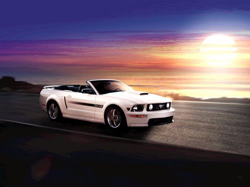Ford Mustang 45th Anniversary Car Poster Print on 10 mil Archival Satin Paper 16" x 12""