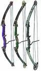Composite Bow