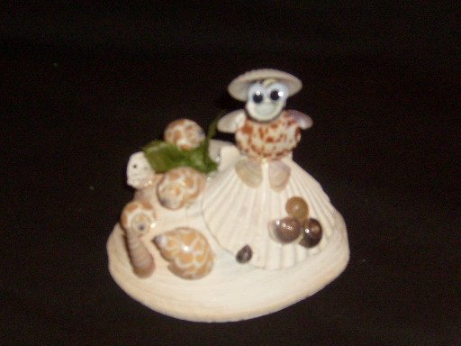 Sammy the Shell Collector