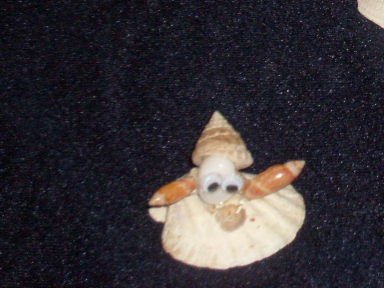 Little Hermit
