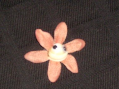 Speckle the shell flower