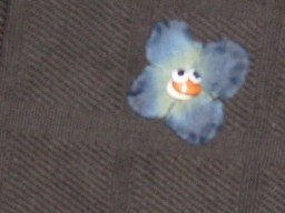 Penny the shell flower