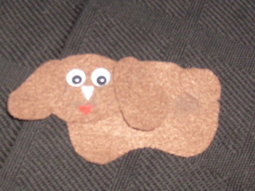 Choco the Mini Lop Bunny