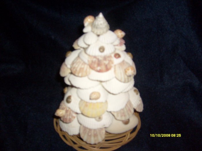 The Shell Tree