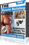 Muscle Building Mania-A beginners guide to muscle building