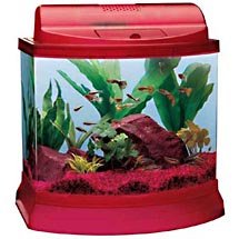Mini Bow 5-Gallon Aquarium Kit