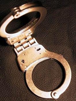 Professional Police Hinged Handcuffs