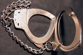 Professional Police Leg Irons