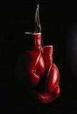 Registrations for Boxing Demonstrations