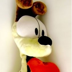 Odie