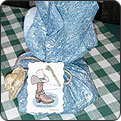 Sugar Free Cowboy Cookies Mix Bandana Gift Set~Splenda